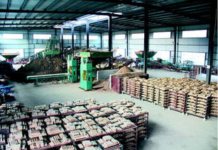 通江福德源陶瓷廠建成投產(chǎn)，投資管理助力地方經(jīng)濟(jì)，新增就業(yè)崗位200個