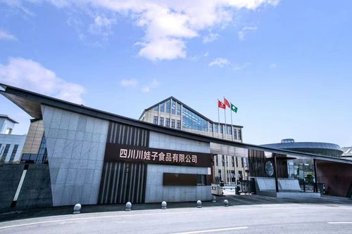 百位行業(yè)代表齊聚川娃子 共話食品智造新味來，明星工廠引領(lǐng)行業(yè)升級(jí)